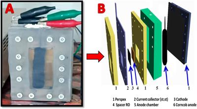 Synergistic advancements in sewage-driven microbial fuel cells: novel carbon nanotube cathodes and biomass-derived anodes for efficient renewable energy generation and wastewater treatment